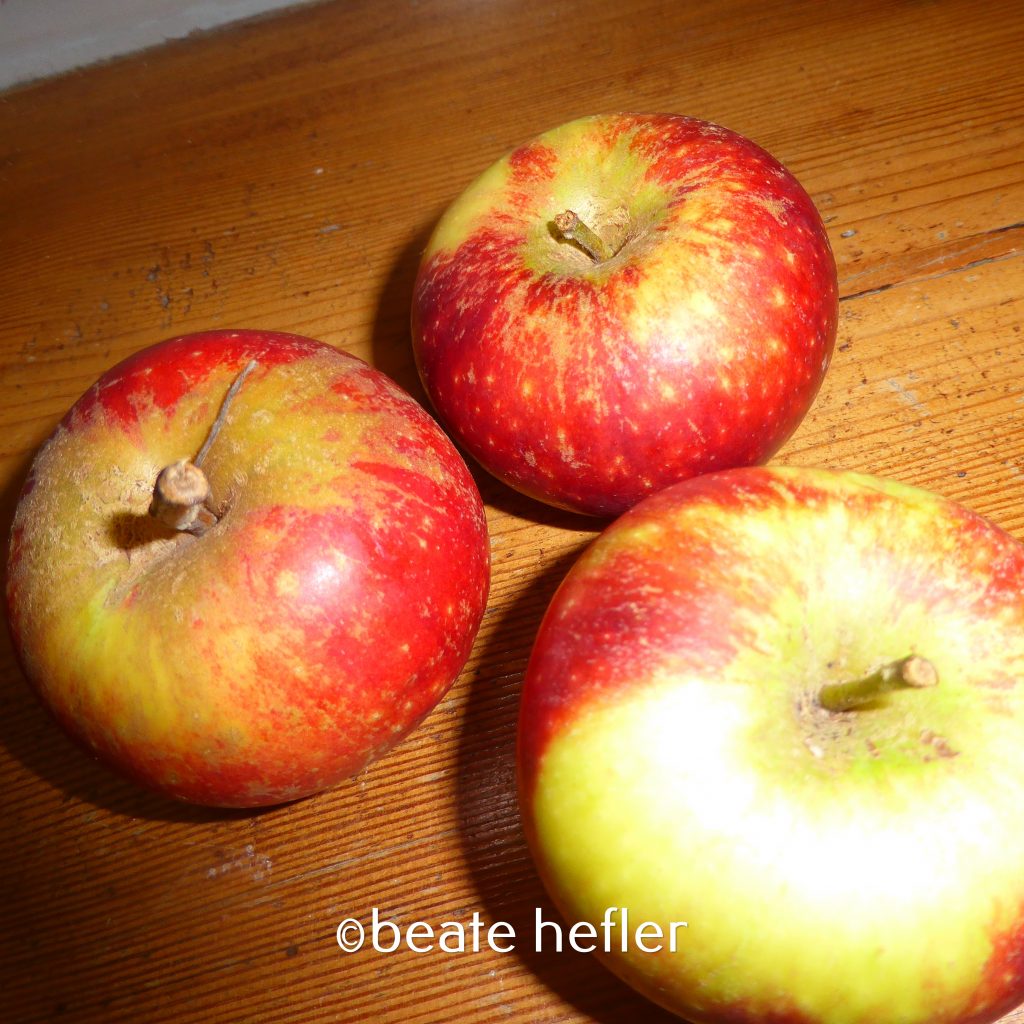 drei aepfel (c) by beate hefler