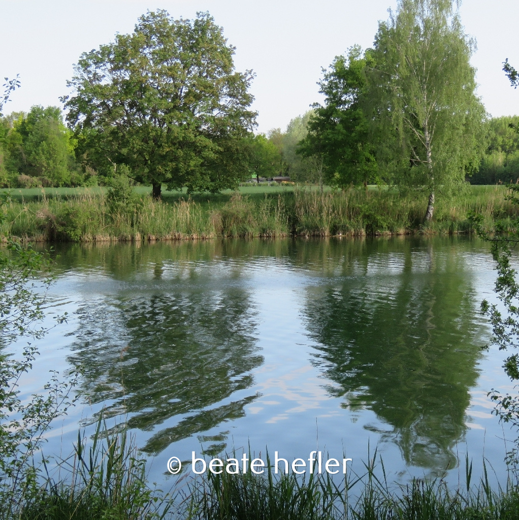 spiegelung (c) by beate hefler