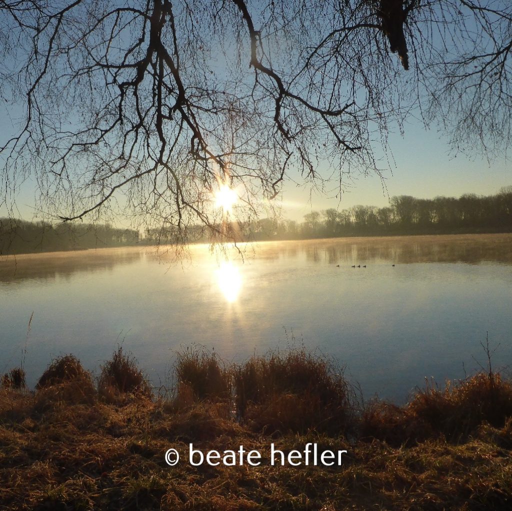 spiegelung (c) by beate hefler