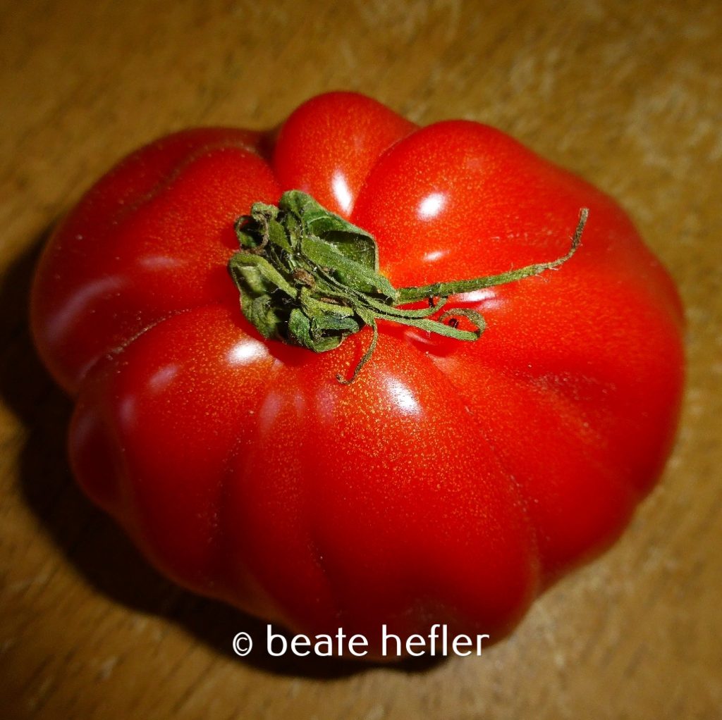 tomate (c) by beate hefler