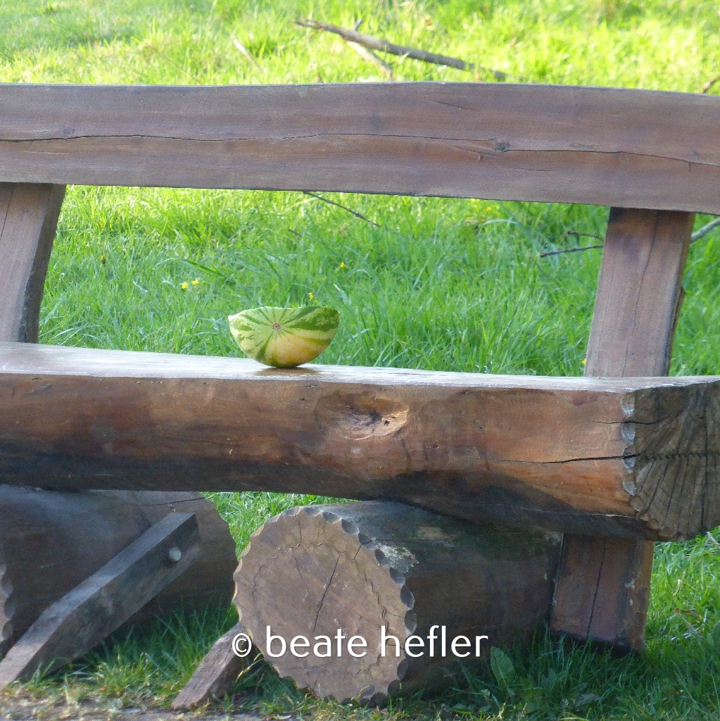 melone (c) by beate hefler