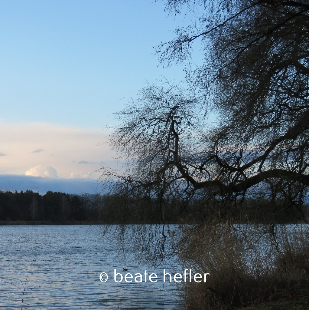 weide (c) by beate hefler