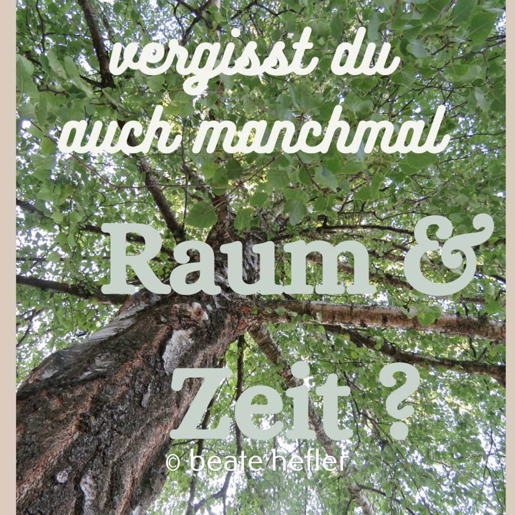 baum (c) by beate hefler