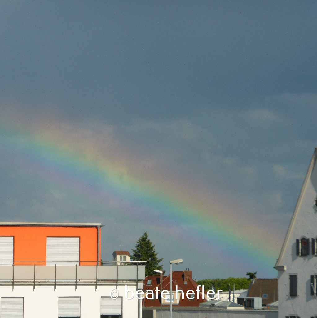 regenbogen (c) by beate hefler