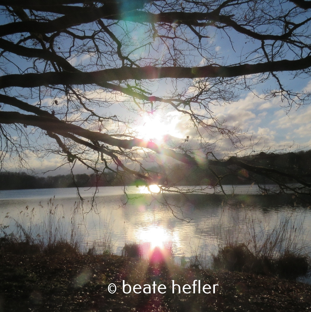 morgen am see (c) by beate hefler