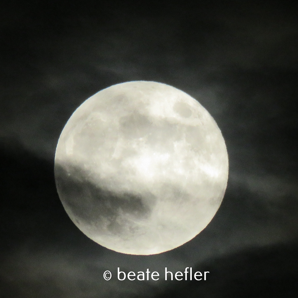 vollmond am see (c) by beate hefler