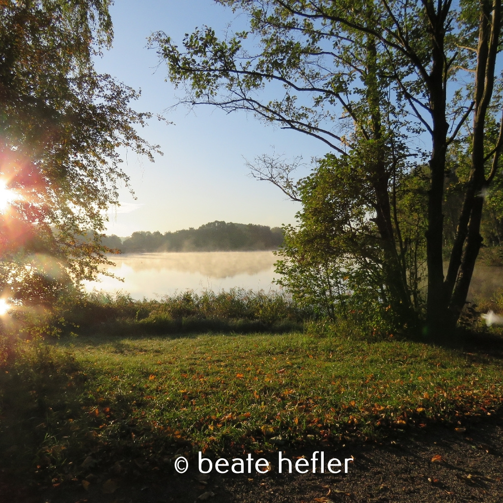 morgen am see (c) by beate hefler