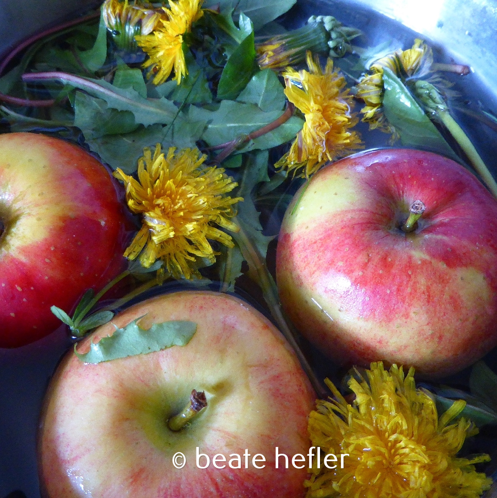 löwenzahn und äpfel am see (c) by beate hefler