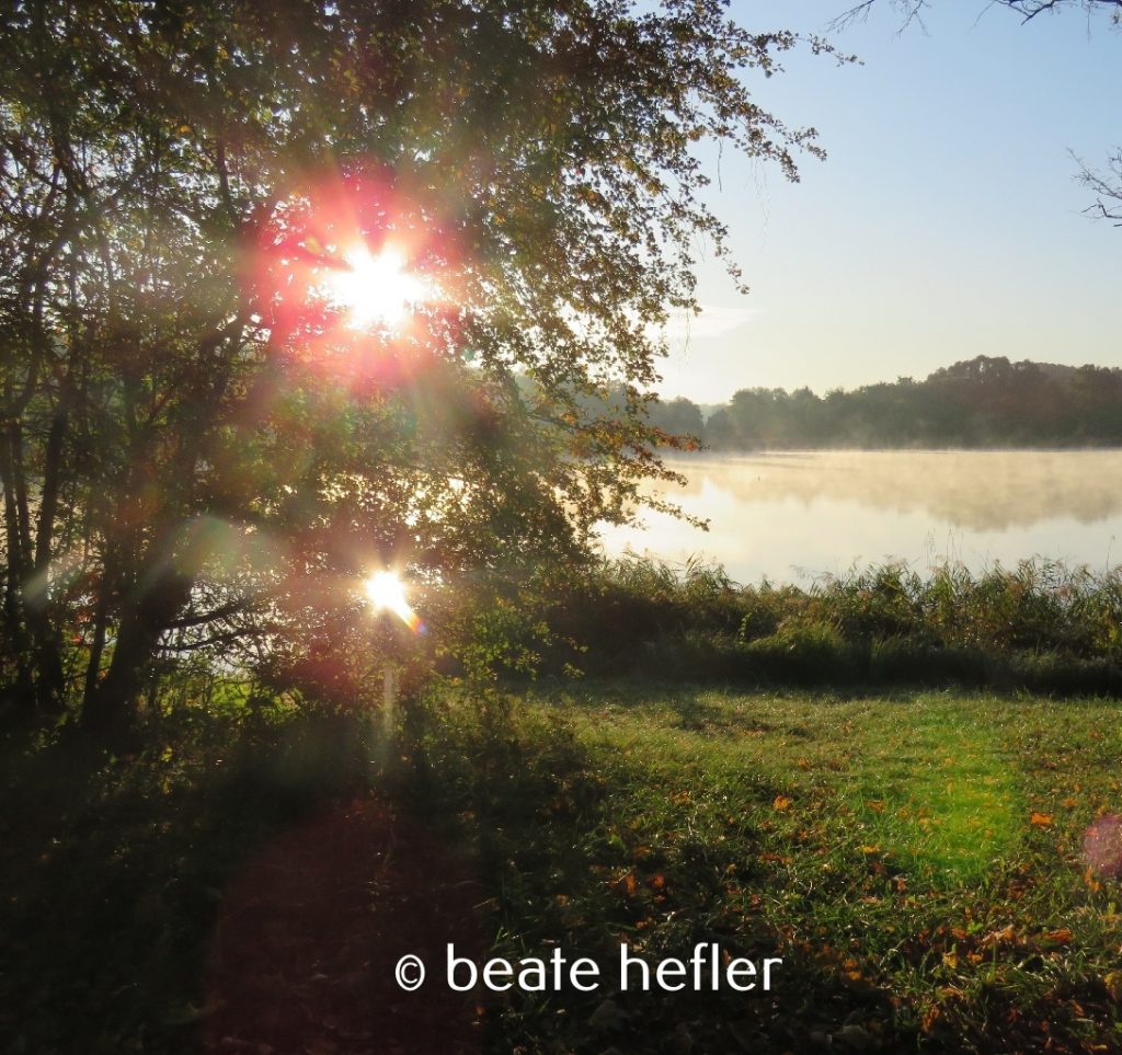 sonnenaufgang (c) by beate hefler