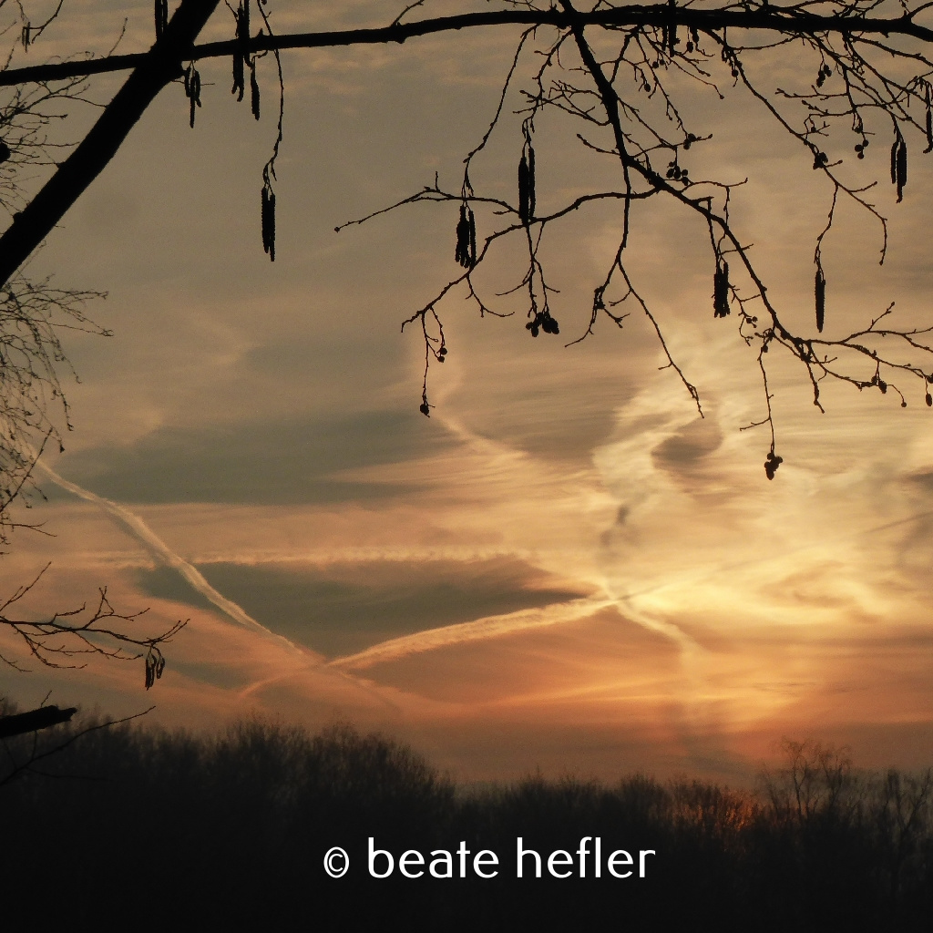 sonnenaufgang (c) by beate hefler