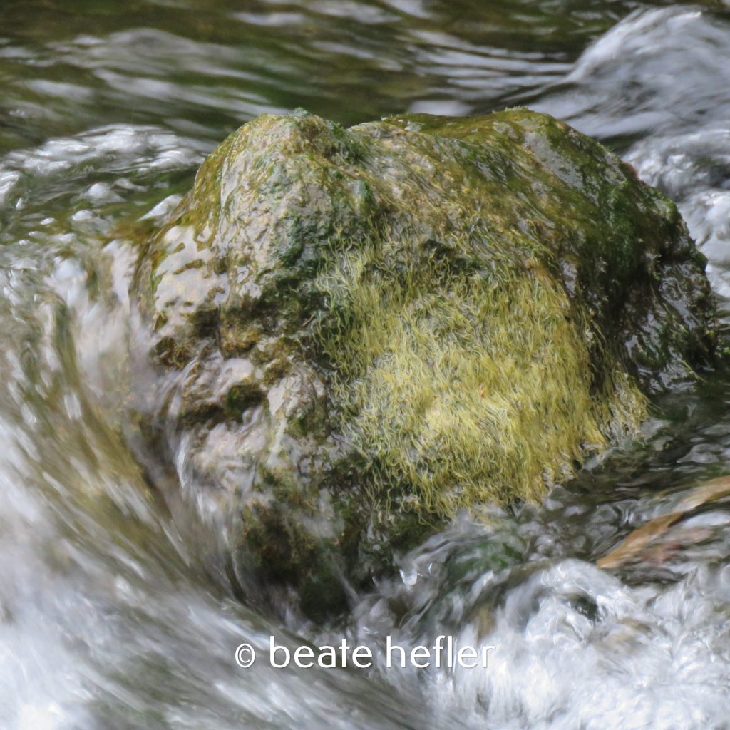 stein(c) by beate hefler