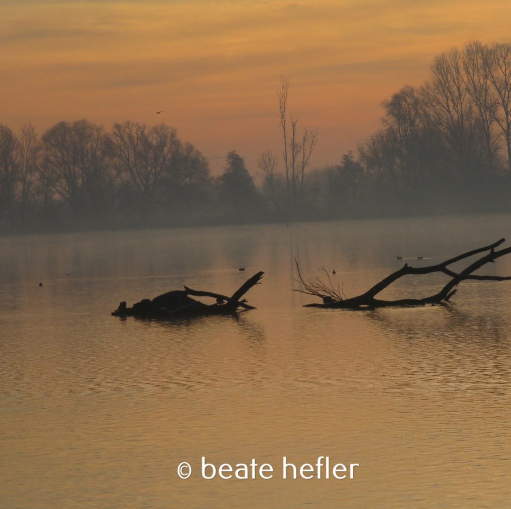 sonnenaufang an der donau (c) by beate hefler