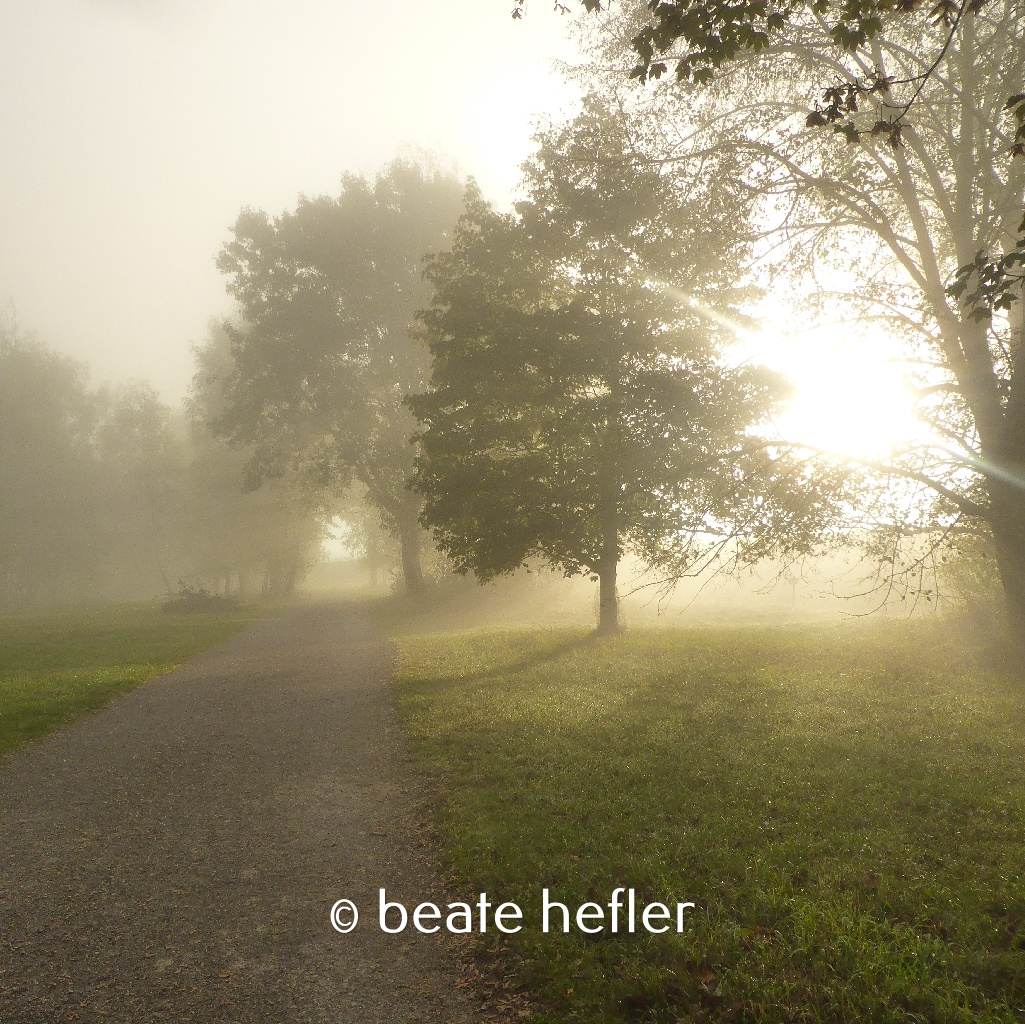 weg (c) by beate hefler