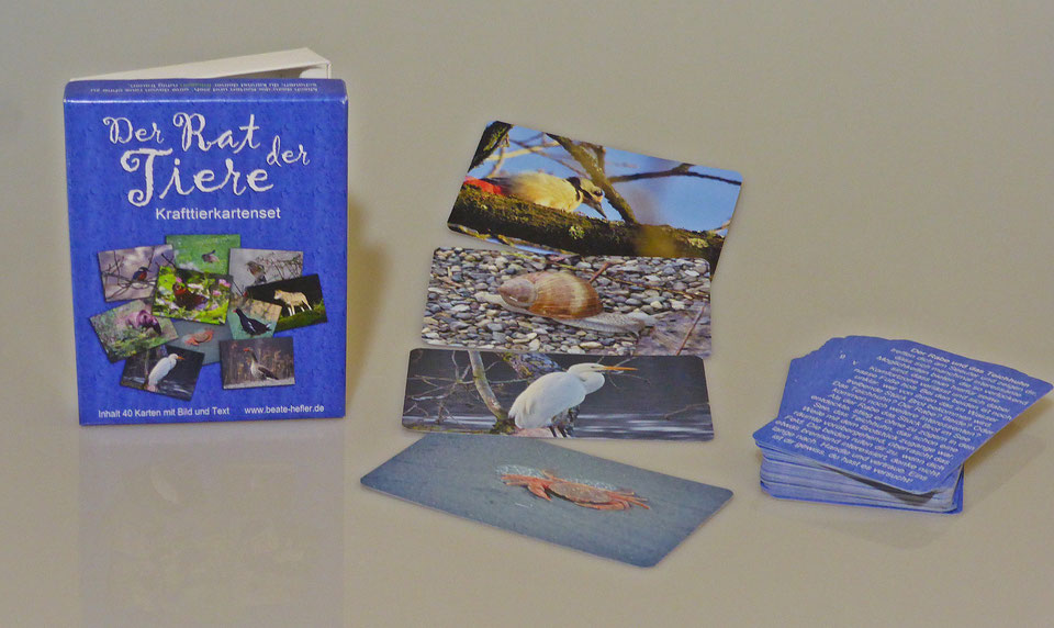 der rat der tiere energiekartenset (c) by beate hefler